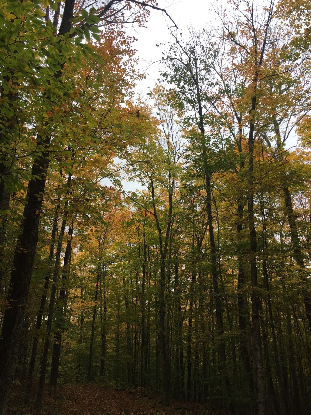 Hardwood Hill Cycling Trail | Huntsville, ON P1H 2J4, Canada | Phone: (705) 789-5105