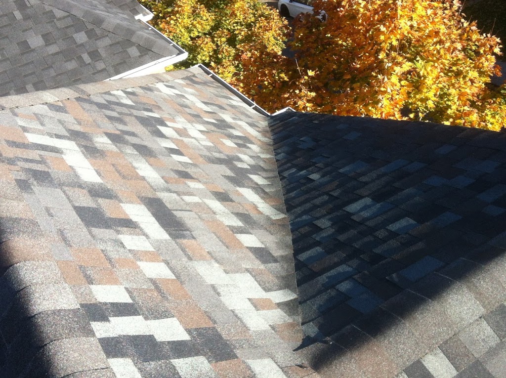 T Chambers Roofing Co. | 150 Fairview Mall Dr #1505, North York, ON M2J 0E7, Canada | Phone: (416) 655-2347