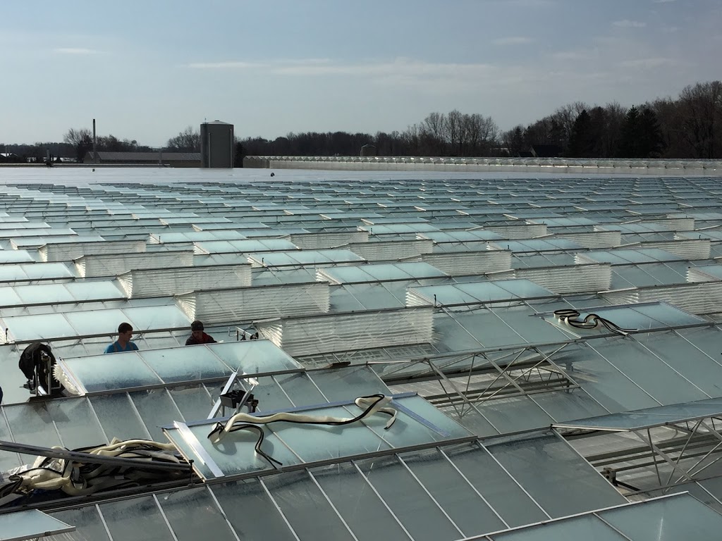 Ruthven Greenhouse Construction | 420 Essex Road 14, Leamington, ON N8H 3V8, Canada | Phone: (519) 326-8808