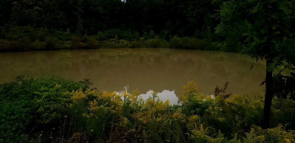 West-side Trails | 820 Columbia Forest Ct, Waterloo, ON N2V 2M6, Canada
