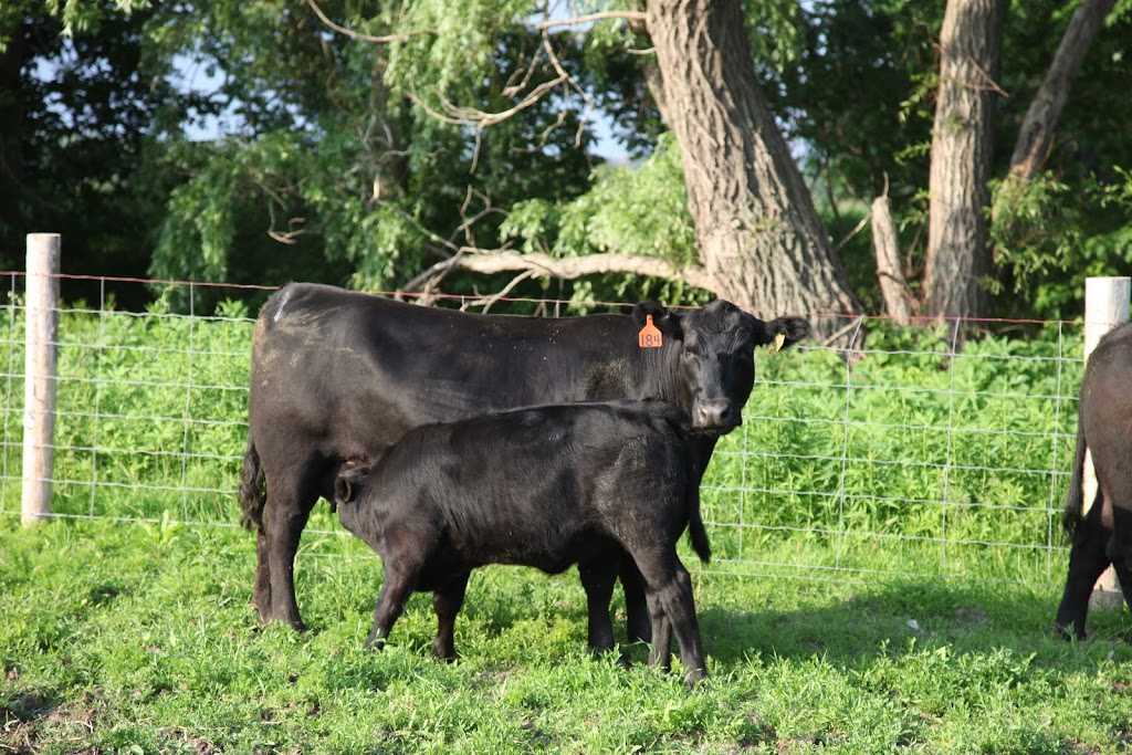 Clear Creek Farms | 14757 Cleeves Line, Highgate, ON N0P 1T0, Canada | Phone: (519) 784-6651