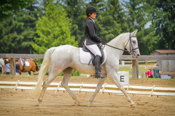 Briar Quest Farm | 5225 Westdel Bourne, London, ON N6P 1P3, Canada | Phone: (519) 660-9750