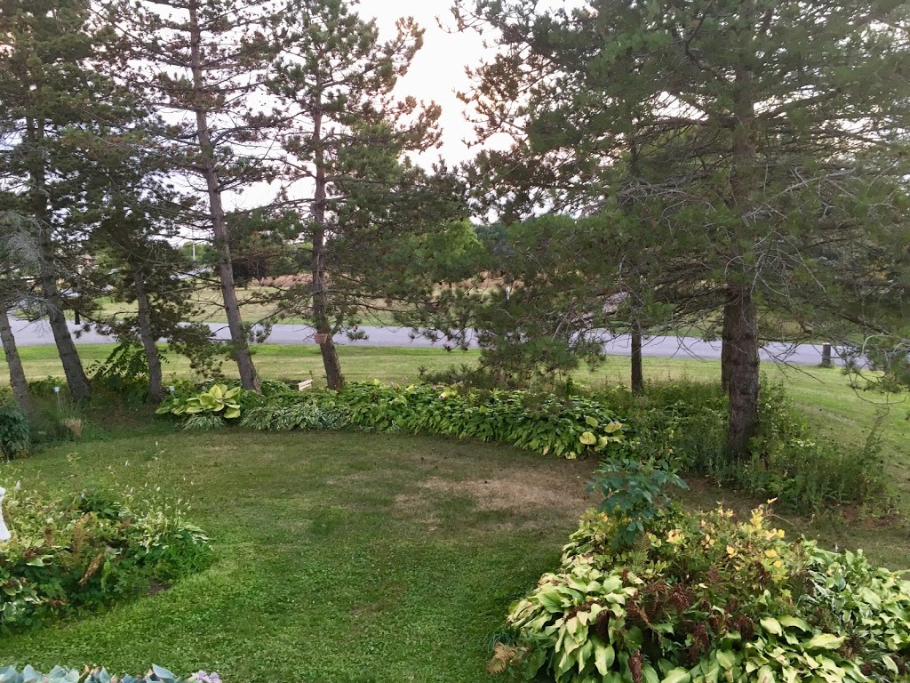 Our Family Guesthouse | 1033 Fish Lake Rd, Demorestville, ON K0K 1W0, Canada | Phone: (416) 930-0186