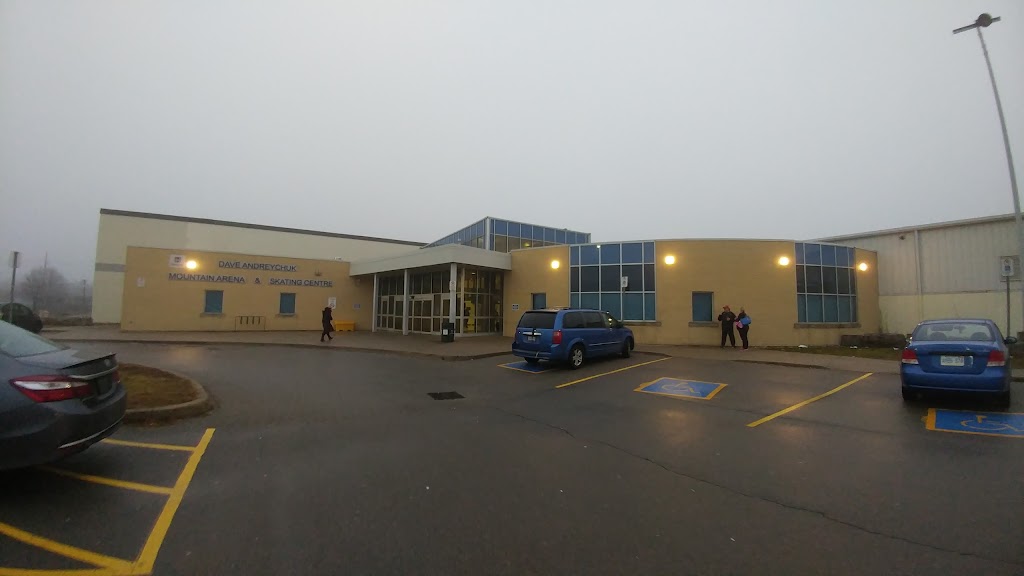 Dave Andreychuk Mountain Arena & Skating Centre | 25 Hester St, Hamilton, ON L9A 2N3, Canada | Phone: (905) 546-3747