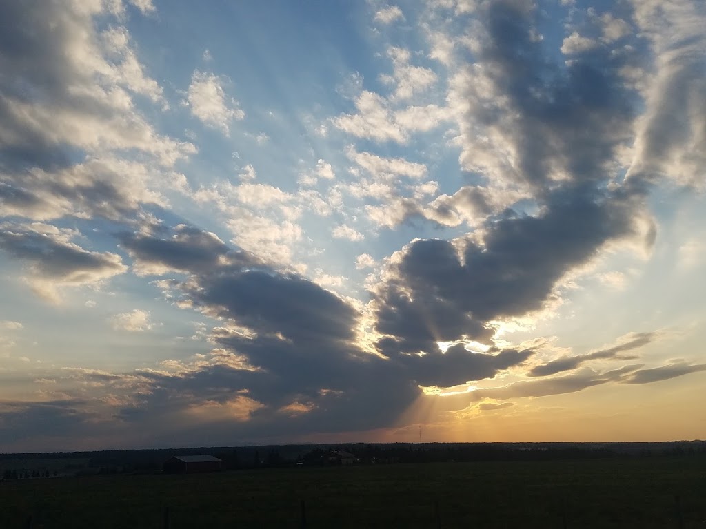 The Saskaberry Ranch | Township Rd 324, Alberta T0M 1X0, Canada | Phone: (403) 507-8994