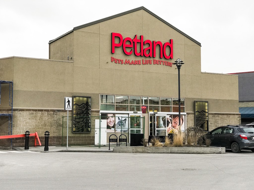 Petland Westhills | 290 Stewart Green SW, Calgary, AB T3H 3C8, Canada | Phone: (403) 686-7929