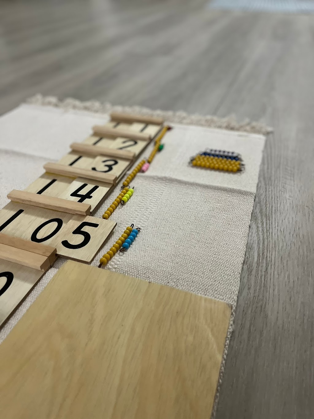 Embrace Montessori | 140 Cor Mdws Gdns NE, Calgary, AB T3N 2C4, Canada | Phone: (587) 917-2694