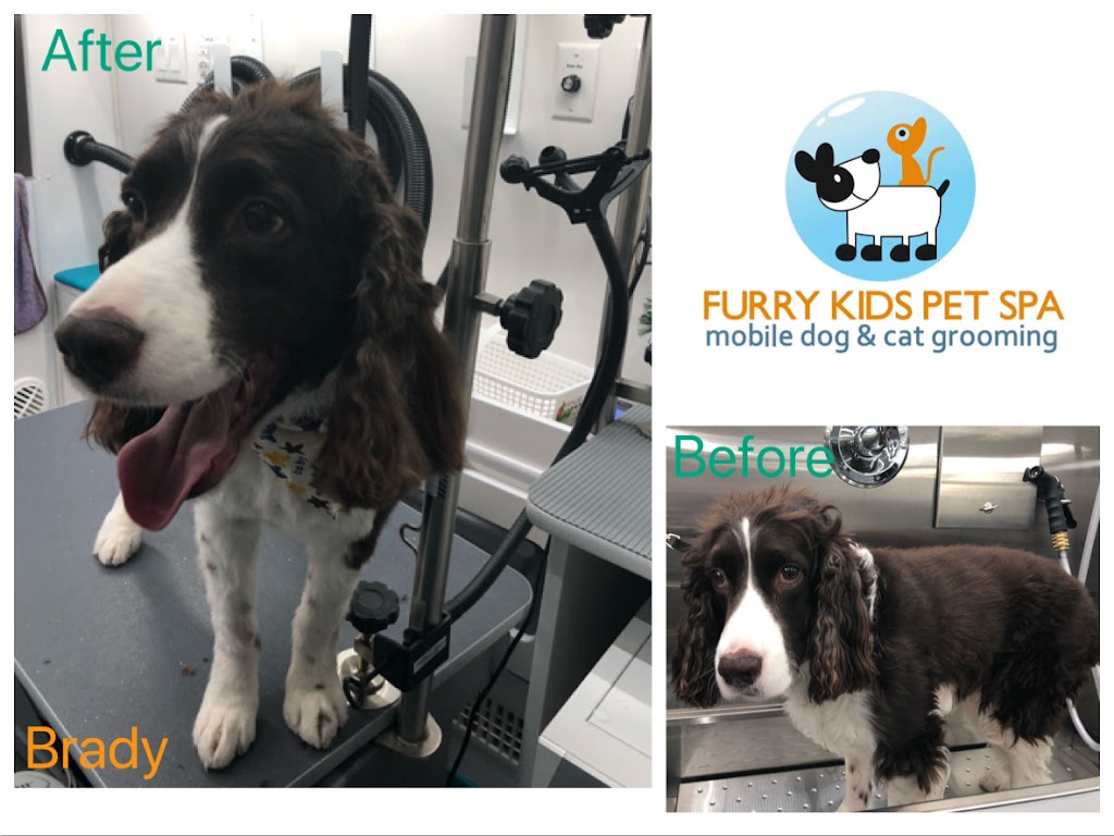 Furry Kids Mobile Pet SPA- dog & cat grooming | 13930 20 Ave, Surrey, BC V4A 2A1, Canada | Phone: (778) 838-3080