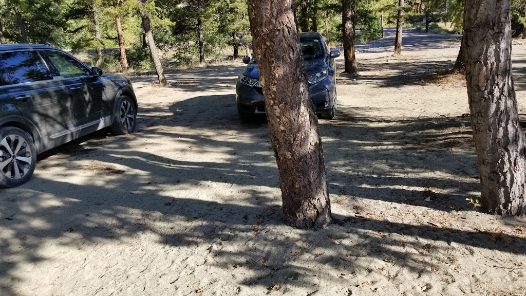 Dobie Ville Campground | 244 Tulameen River Rd, Tulameen, BC V0X 2L0, Canada | Phone: (250) 295-3508