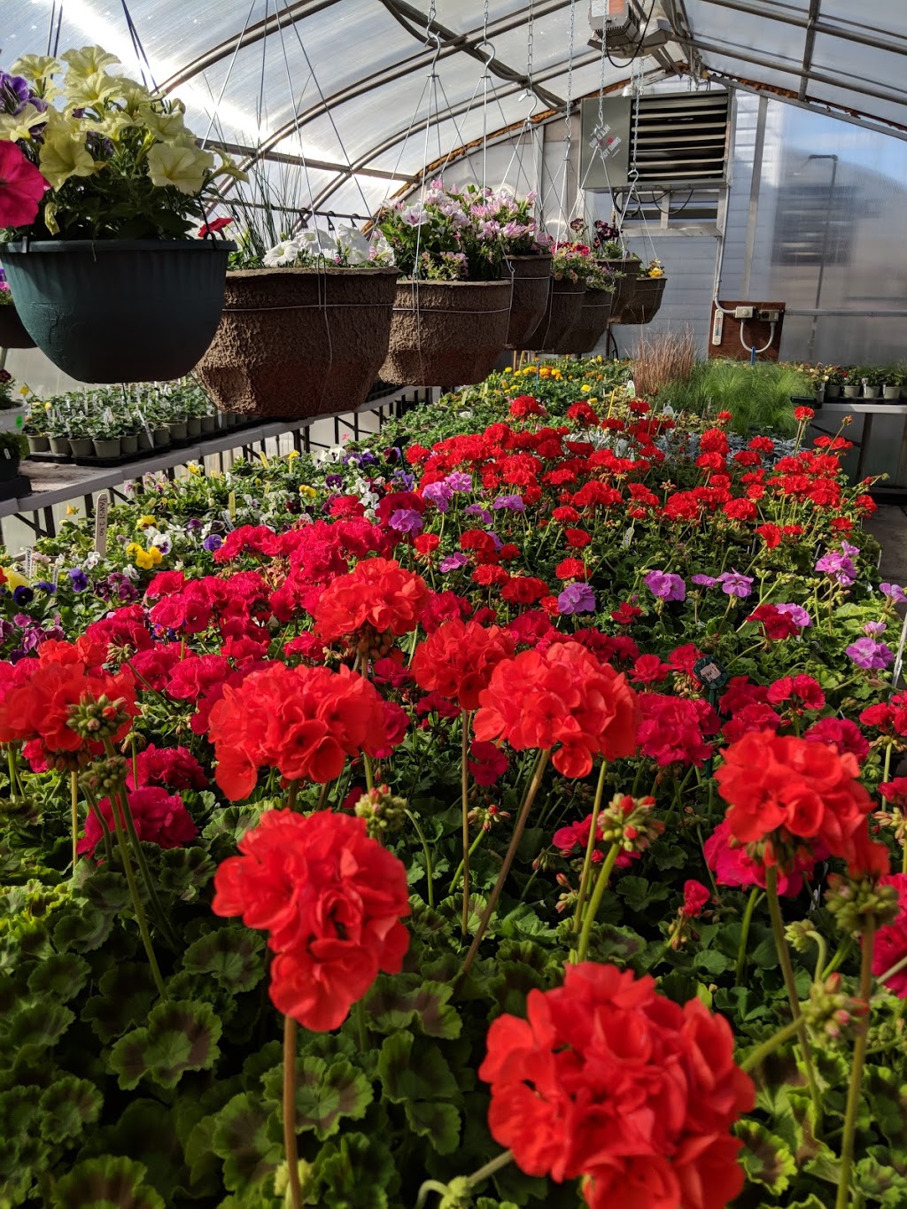 Dons Greenhouse and Aviary | Twp Rd 304 252070C, Linden, AB T0M 1J0, Canada | Phone: (403) 813-1812