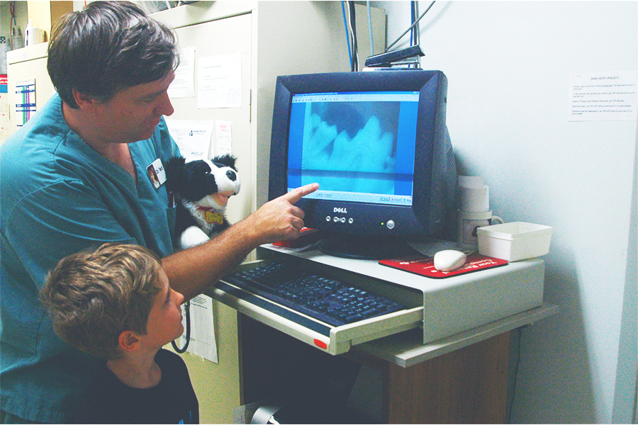 Mavis Road Animal Clinic | 3095 Wolfedale Rd, Mississauga, ON L5C 1V8, Canada | Phone: (905) 275-2782