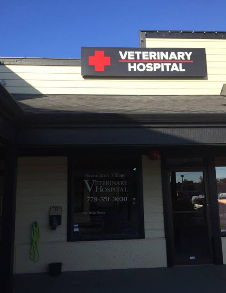 Saanichton Village Veterinary Hospital - Vet serving Sidney , Br | 7816 E Saanich Rd, Saanichton, BC V8M 2B4, Canada | Phone: (778) 351-3030