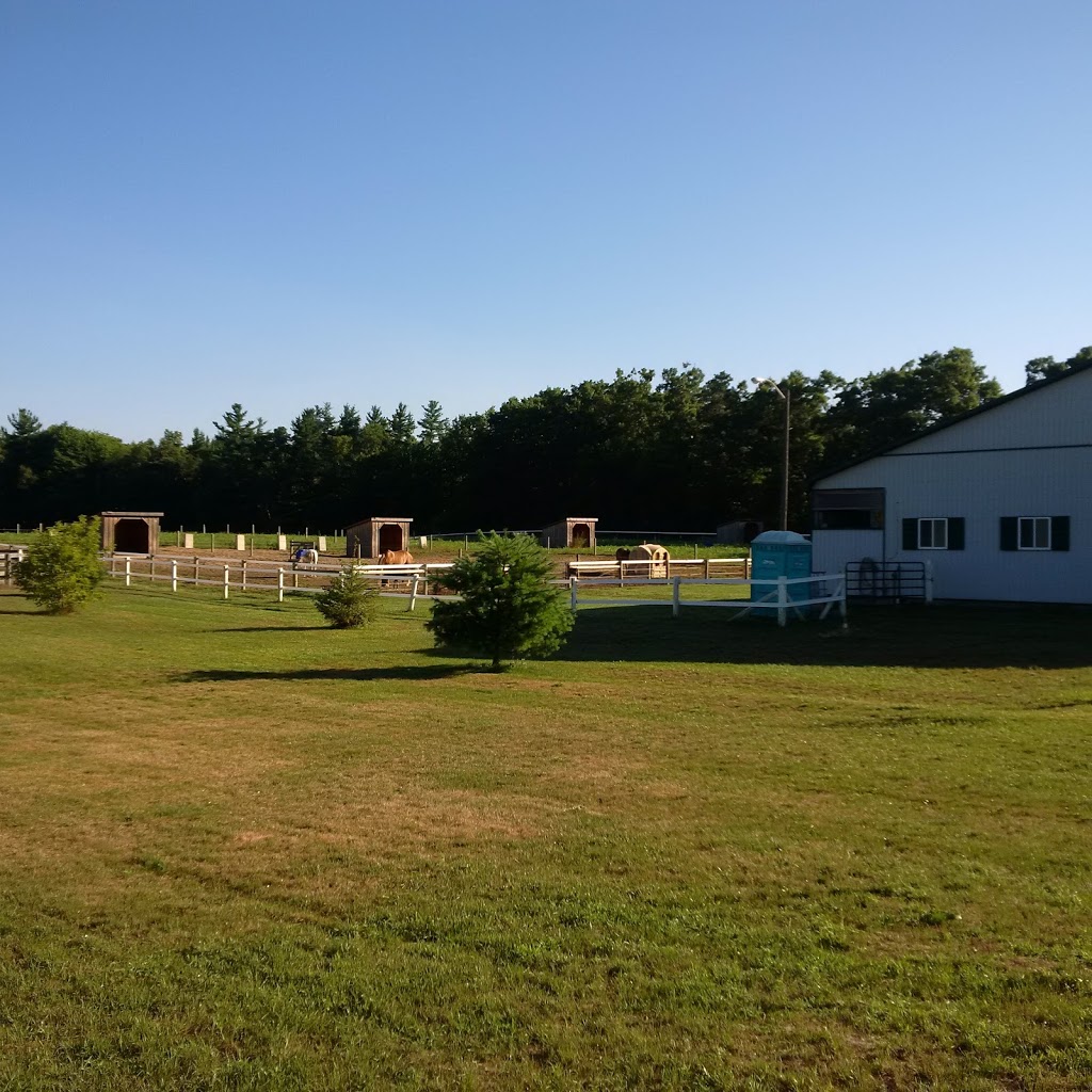 Busy Boys Farm | 1315 Charlotteville Rd 8, Simcoe, ON N3Y 4K5, Canada | Phone: (226) 493-1254