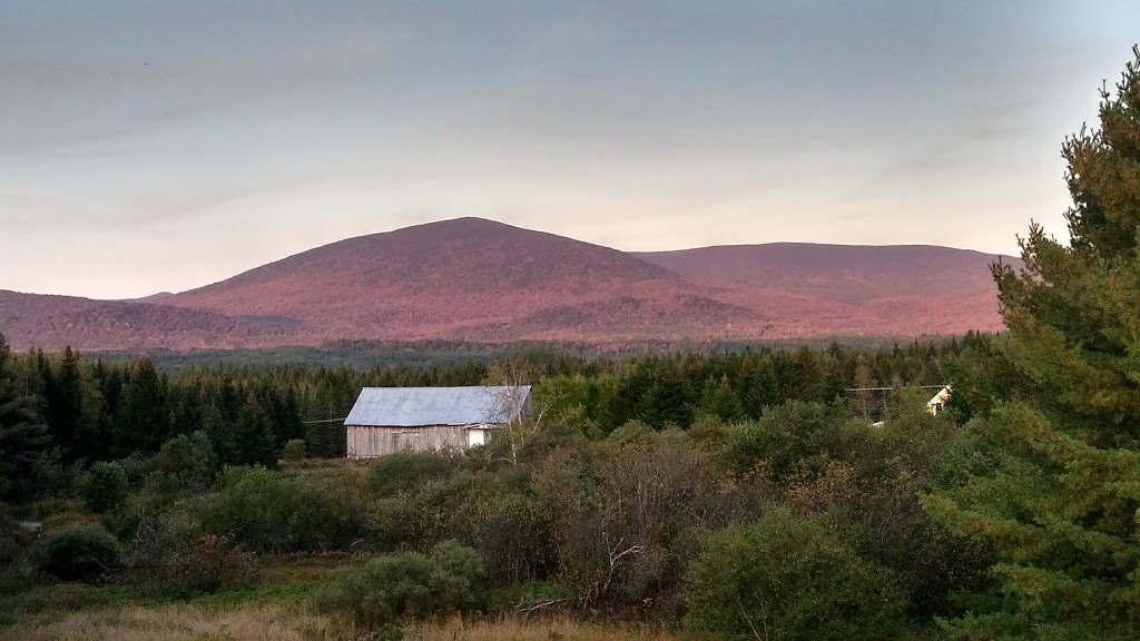 Gîte touristique Les trois étangs | 12 Chemin du Petit Québec, La Patrie, QC J0B 1Y0, Canada | Phone: (819) 888-0210