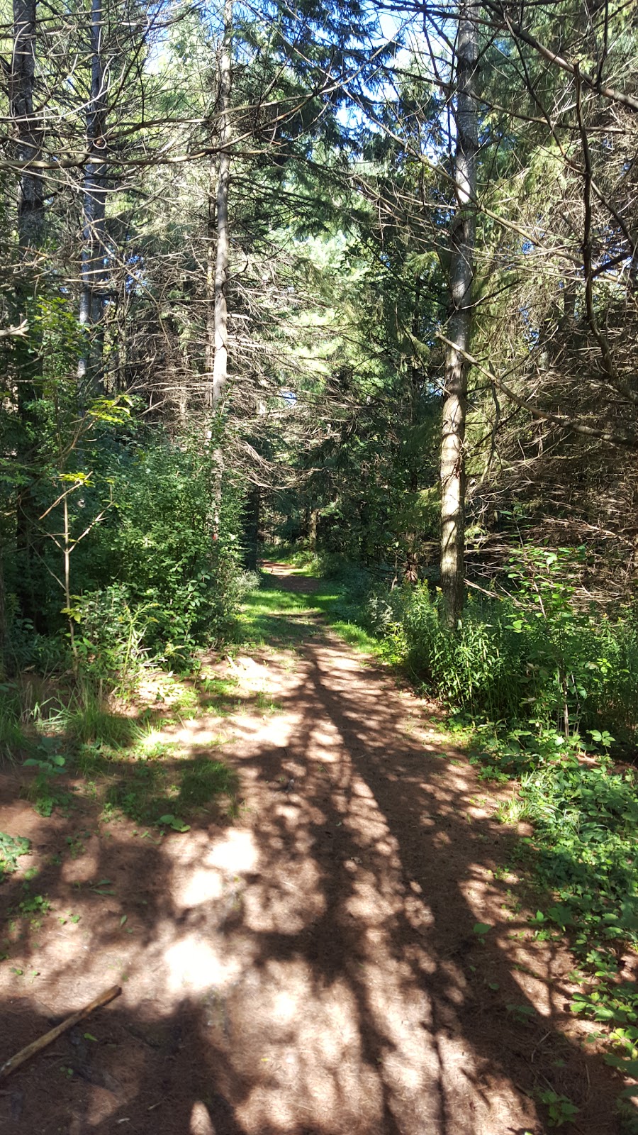 Wawanosh Valley Conservation Education Centre | 38854 Nature Centre, Blyth, ON N0M 1H0, Canada | Phone: (519) 523-4788