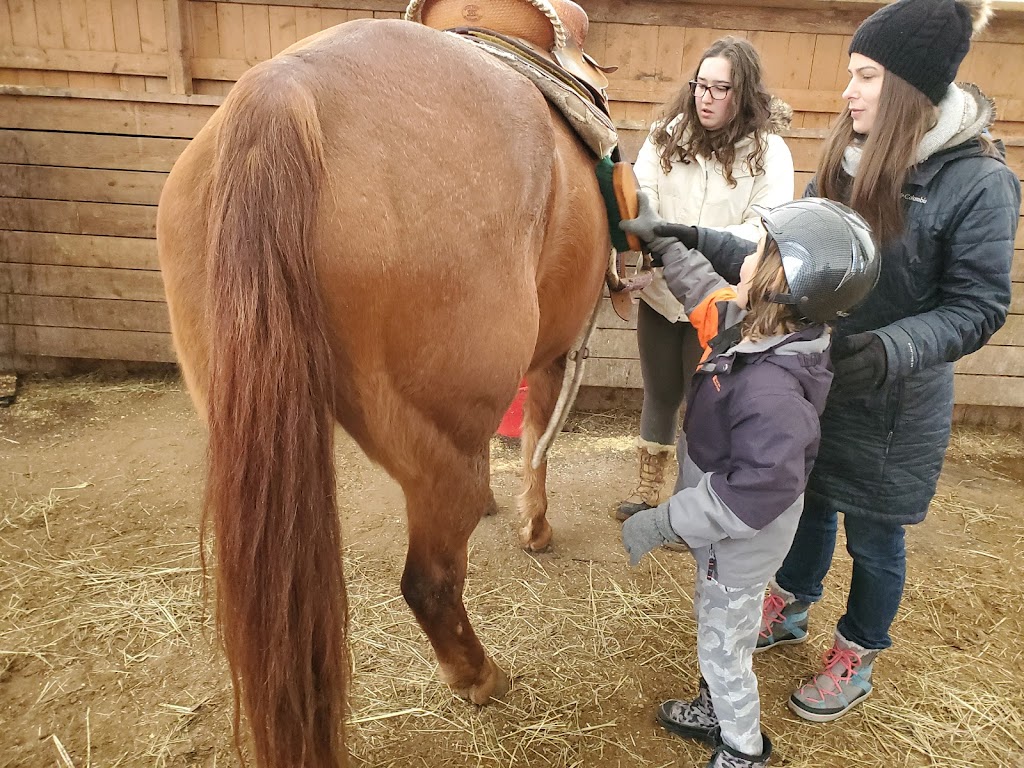 Official Little Rock Farm | 346 Buttermilk Hill Rd, Perth, ON K7H 3C3, Canada | Phone: (613) 284-6570
