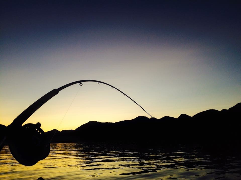 Spring Roll Sportfishing | 6507 N Rd, Duncan, BC V9L 6K9, Canada | Phone: (250) 510-8448