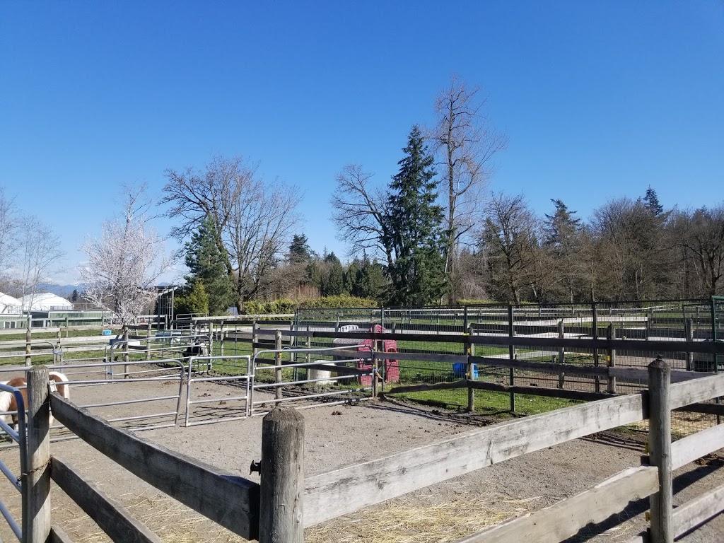 Laughing Stock Ranch | 24555 32 Ave, Langley City, BC V2Z 2J5, Canada | Phone: (604) 720-6484