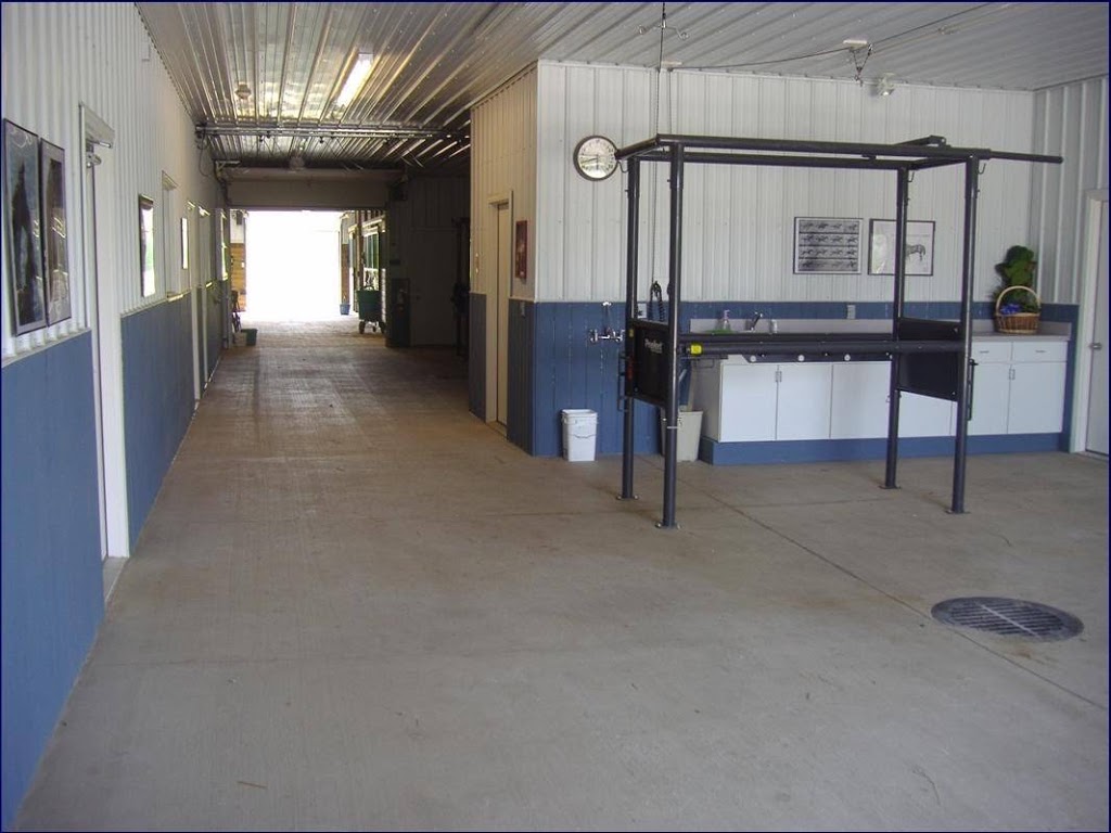 Blue Water Equine Hospital | 3996 Keegan Rd, Emmett, MI 48022, USA | Phone: (810) 384-1100