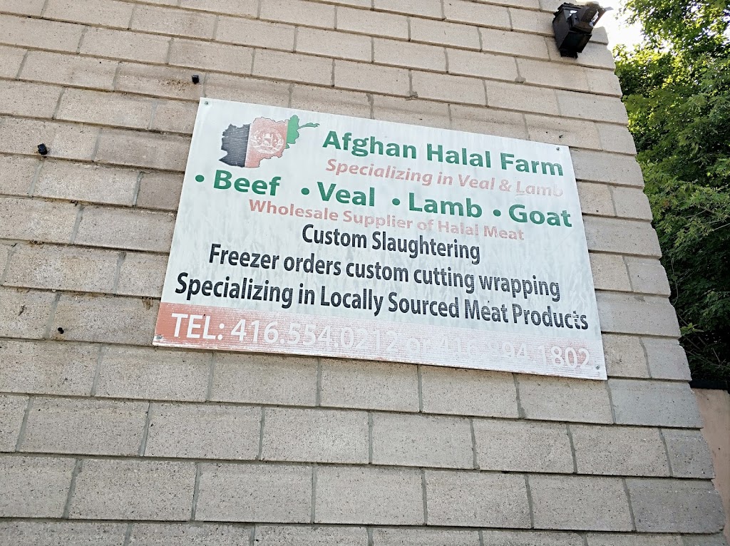 Afghan Halal Farm | point of interest | 15755 Concession Rd 10, Schomberg, ON L0G 1T0, Canada | 4168941802 OR +1 416-894-1802