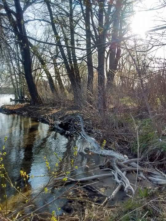 Kitchener Park | 460 West Street S, Orillia, ON L3V 7Z3, Canada