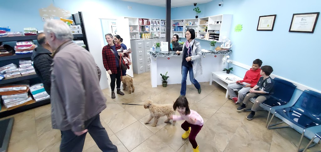 Avon Animal Hospital | 19475 Fraser Hwy, Surrey, BC V3S 6K7, Canada | Phone: (604) 532-7600