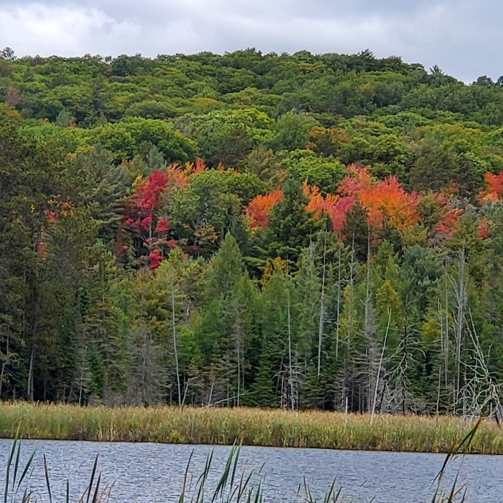 Mountain View Motel | 18508 ON-60, Barrys Bay, ON K0J 1B0, Canada | Phone: (613) 756-2757