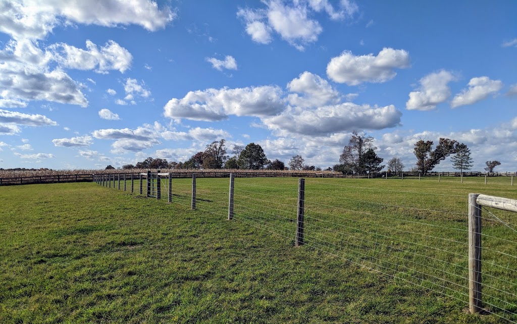 Snowy River Stables | 273 W River Rd, Paris, ON N3L 3E2, Canada | Phone: (519) 504-5484