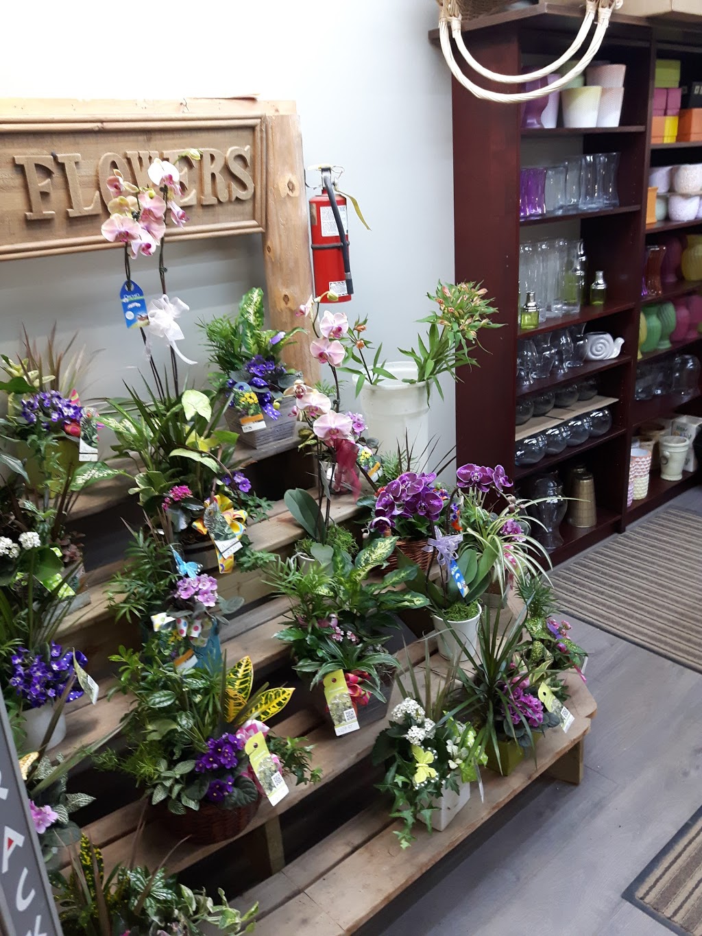 Holdens Florists (DUNDAS) Inc. | 44 York Rd, Dundas, ON L9H 1L4, Canada | Phone: (905) 628-2411