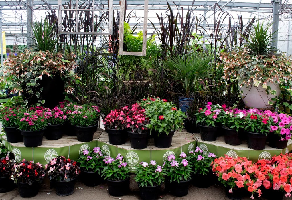 Sheridan Nurseries Limited | 100 Elmsdale Dr, Kitchener, ON N2E 1H6, Canada | Phone: (519) 743-4146