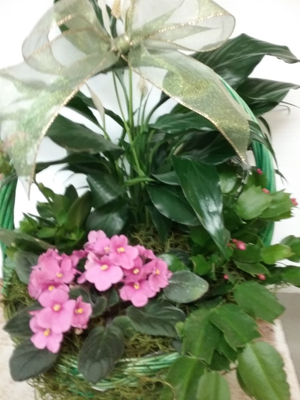 Fleuriste Lennoxville | Sherbrooke, QC J1H 6J8, Canada | Phone: (819) 346-4841