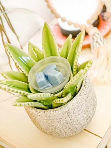 Carla Hunter - Independent Scentsy Consultant | 26 Cavelier Ct, Beaumont, AB T4X 1P5, Canada | Phone: (780) 972-9499