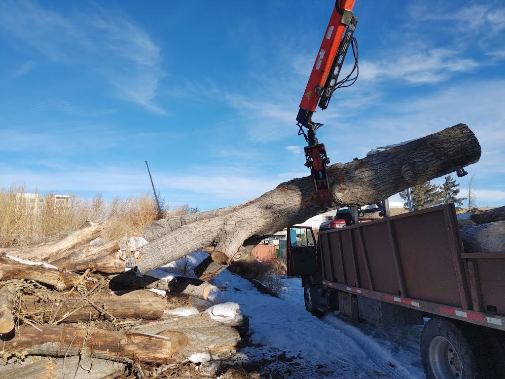 Calgary Tree Cutting | 2212 Palliser Dr SW, Calgary, AB T2V 3S3, Canada | Phone: (403) 601-0376