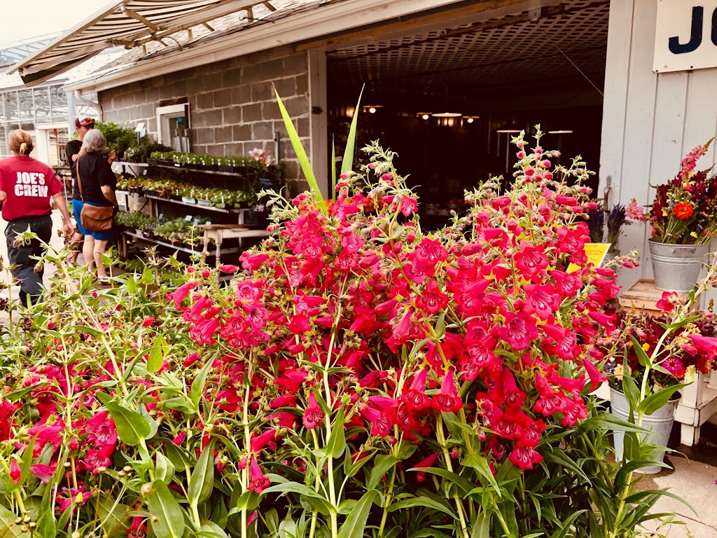 Joes Gardens | 3110 Taylor Ave, Bellingham, WA 98225, USA | Phone: (360) 671-7639
