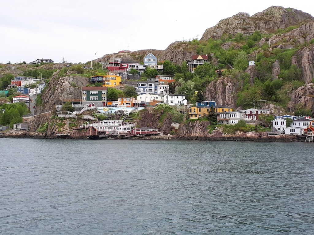 Dee Jay Charters | 140 Harbour Dr, St. Johns, NL A1C 6N6, Canada | Phone: (709) 753-8687