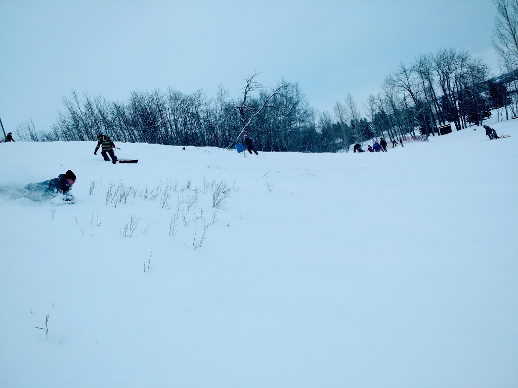 Didsbury Golf Club | 2302 20 Ave, Didsbury, AB T0M 0W0, Canada | Phone: (403) 335-3635