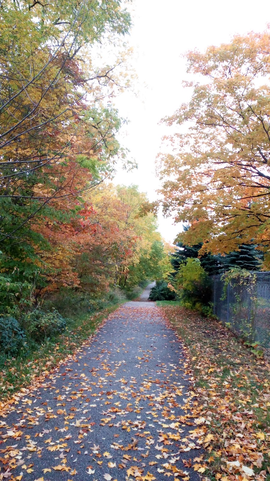 Wintermeyer Park | 495/497 Forestlawn Rd, Waterloo, ON N2K 3X8, Canada