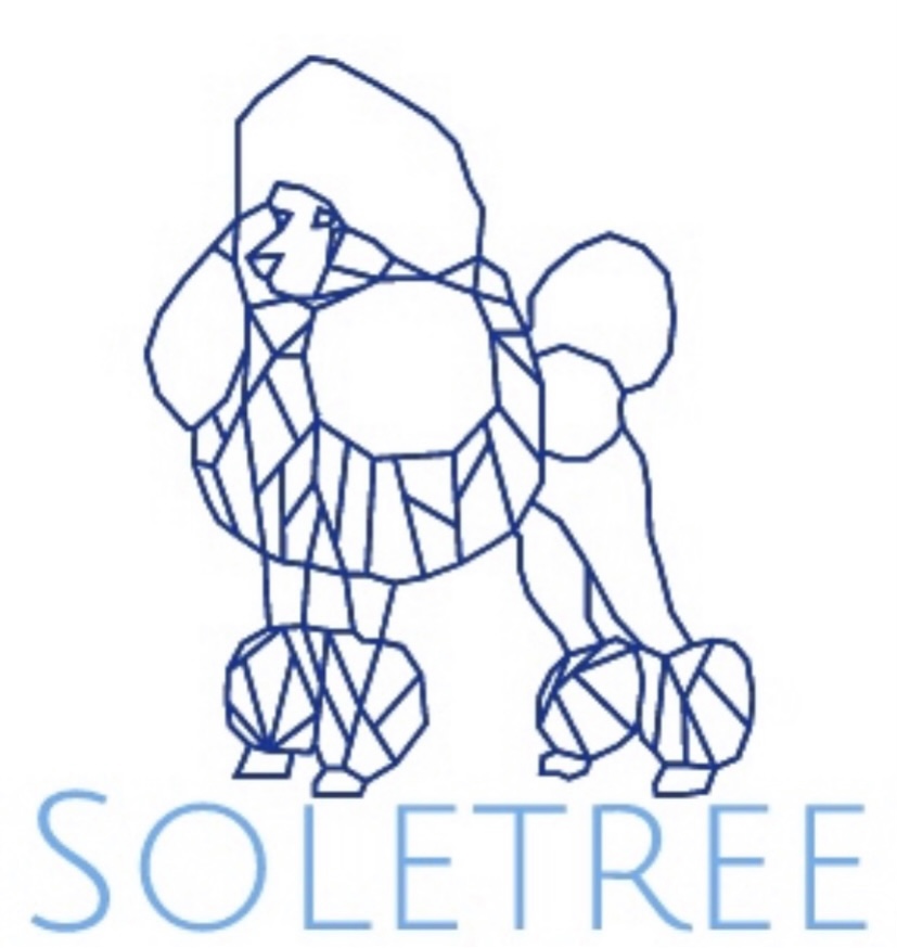 Soletree Poodles | Knutsford Hills Dr, Kamloops, BC V2E 2S8, Canada | Phone: (306) 897-3044
