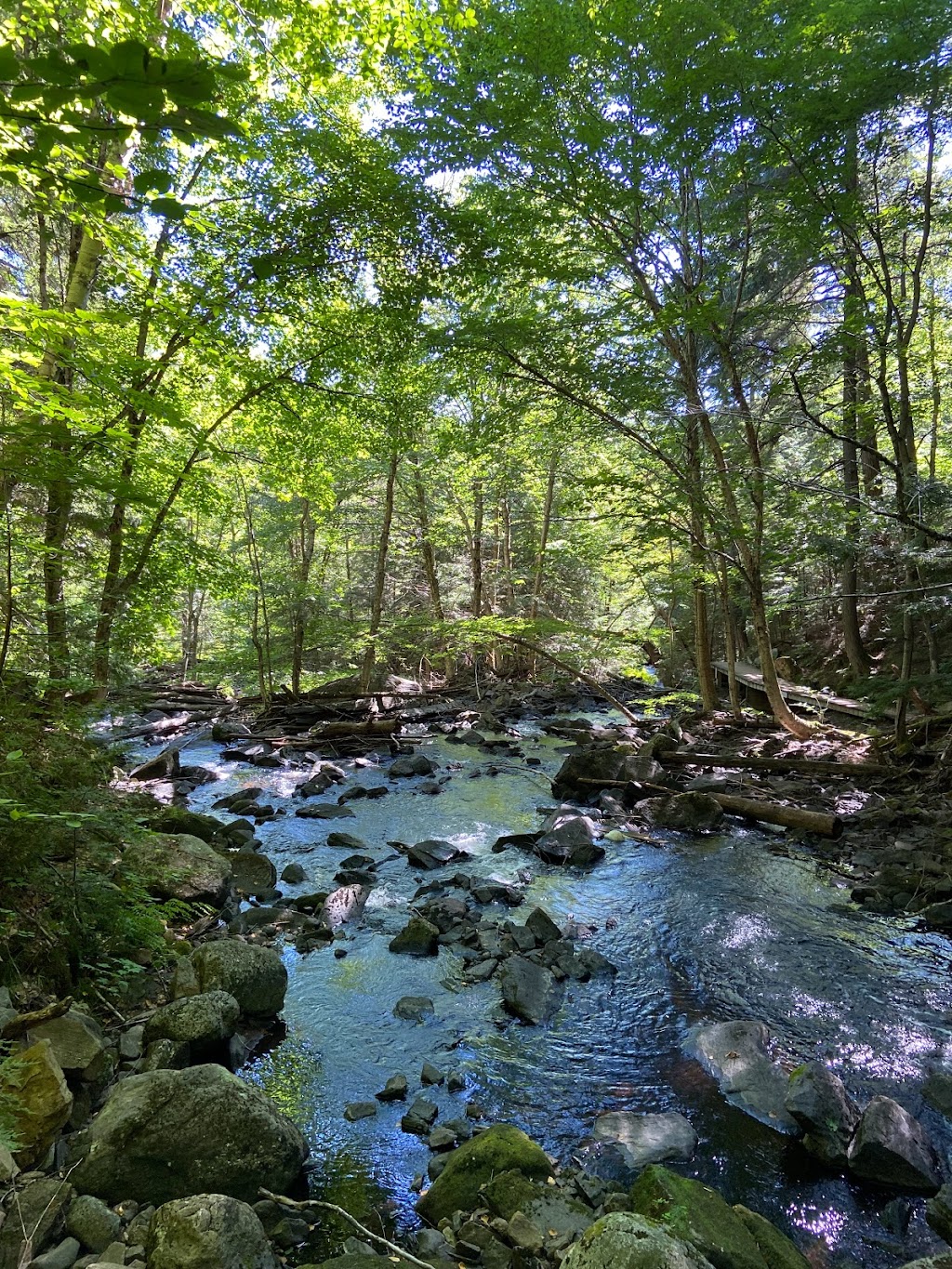 Algonquin Provincial Park | Ontario 60, Ontario K0J 2M0, Canada | Phone: (705) 633-5572