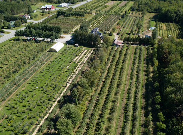 ArborInnov inc. | 2200 QC-222, Saint-Denis-de-Brompton, QC J0B 2P0, Canada | Phone: (819) 679-6689