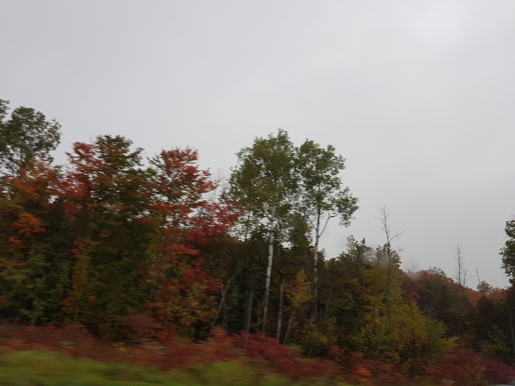 Rénovation Pro-H | 30 Chemin Guindon, Thurso, QC J0X 3B0, Canada | Phone: (819) 712-1578