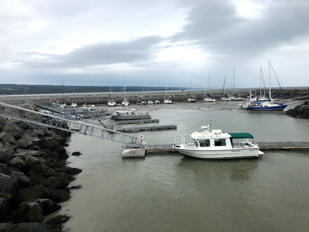 Croisières AML Rivière-du-Loup Billetterie | 200 Rue Hayward, Rivière-du-Loup, QC G5R 6A4, Canada | Phone: (866) 856-6668