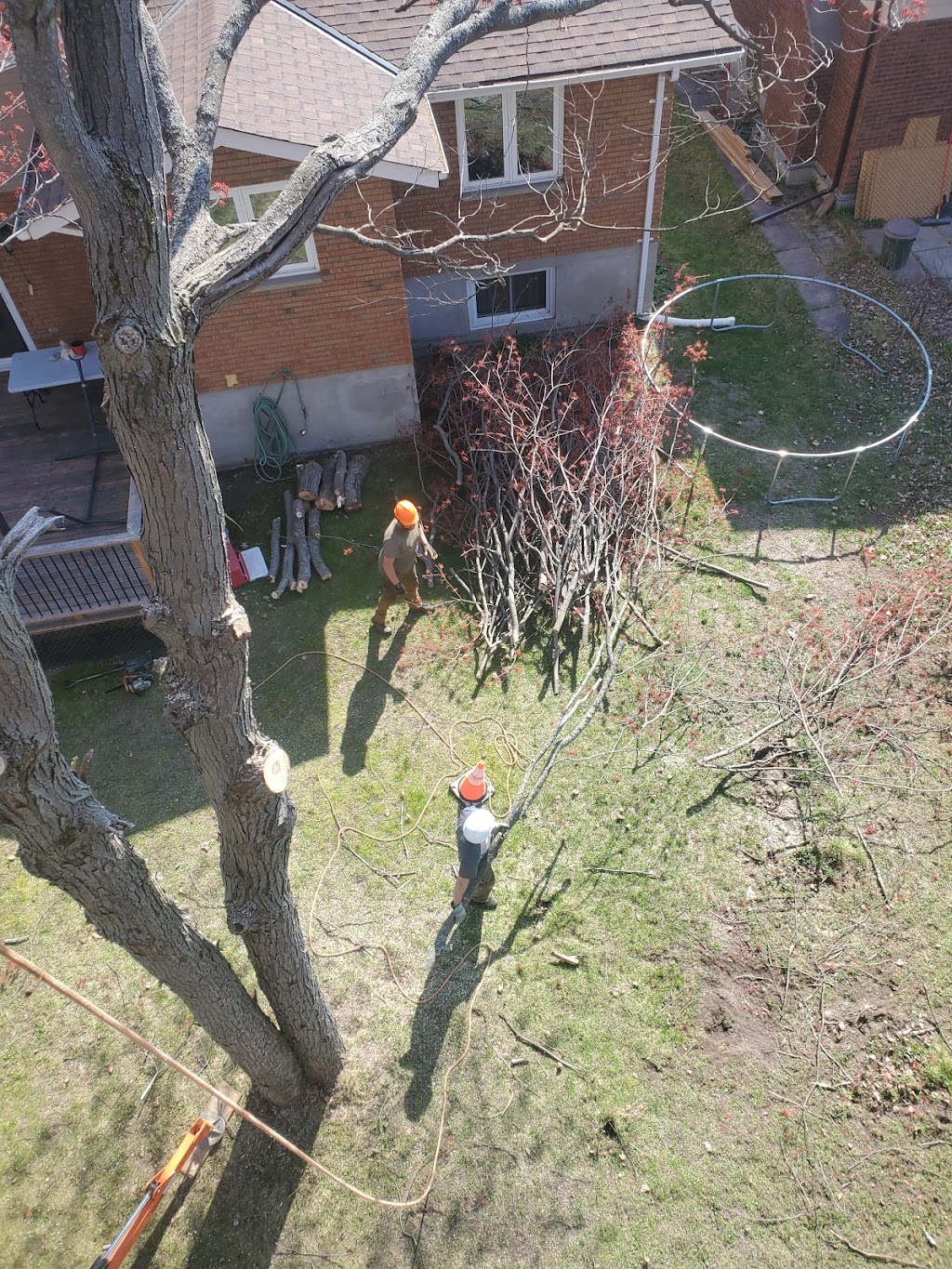 Bnl trees and landscaping | 82 Margaret Dr, North Bay, ON P1B 8G5, Canada | Phone: (249) 358-5953