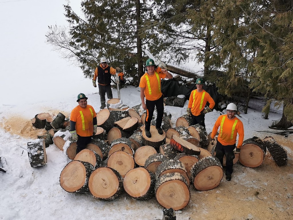 Treeworks | of Smith, 2302 15 Line, Buckhorn, ON K0L 1J0, Canada | Phone: (705) 657-1900