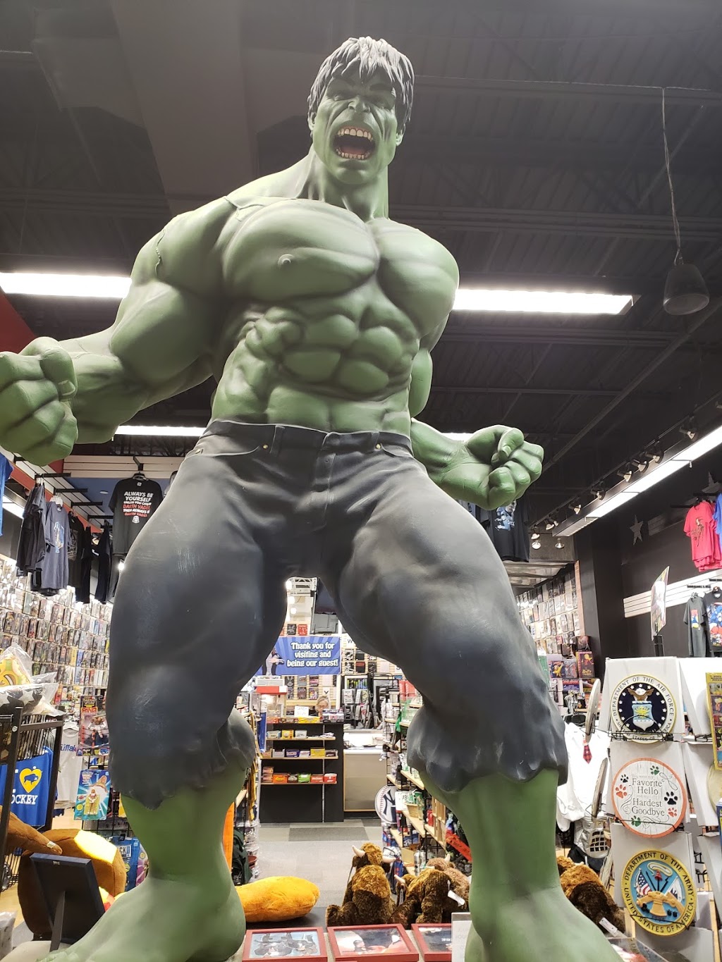 Hollywood Collectibles | store | 3701 McKinley Pkwy #830, Buffalo, NY 14219, USA | 7168280139 OR +1 716-828-0139