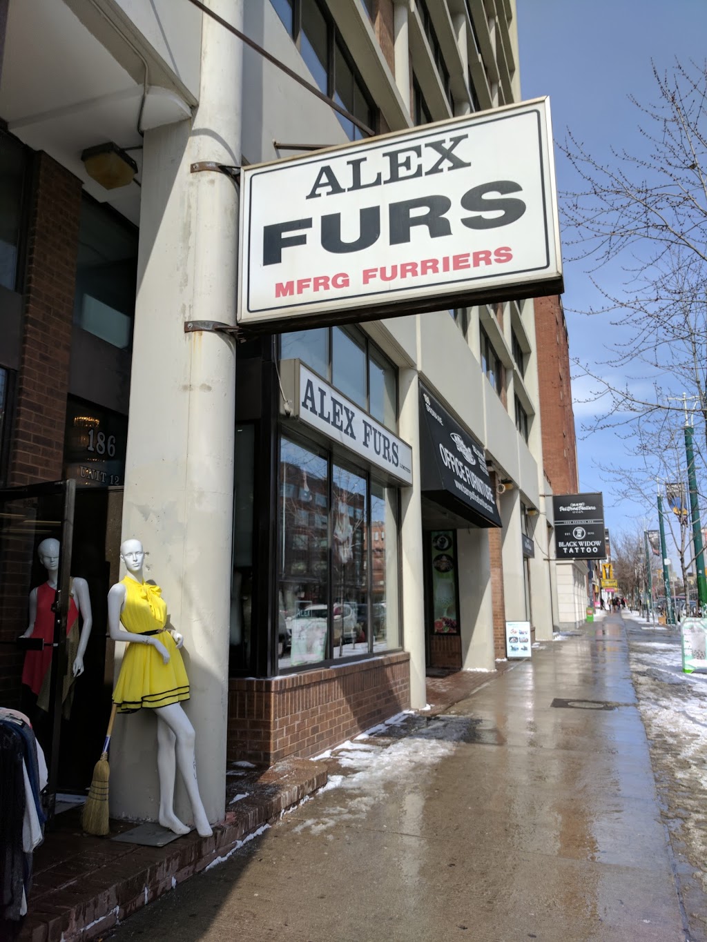 Alex Furs | 186 Spadina Ave #12, Toronto, ON M5T 3B2, Canada | Phone: (416) 703-0734