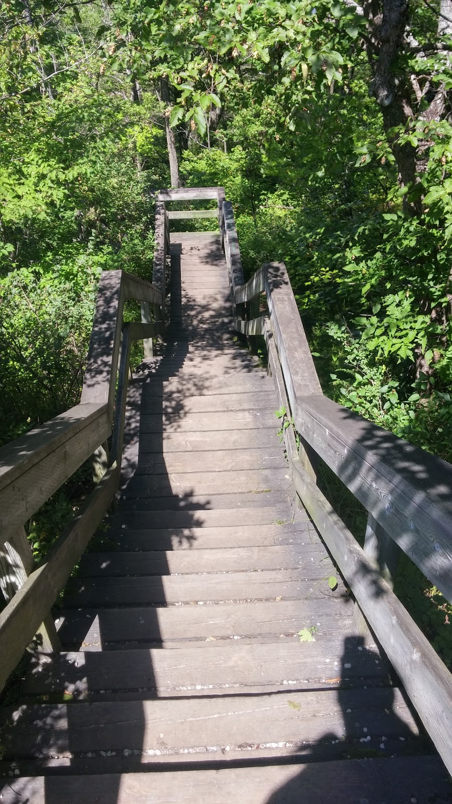 Champlain Trail | Promenade Champlain, Luskville, QC J0X 2G0, Canada | Phone: (613) 239-5000