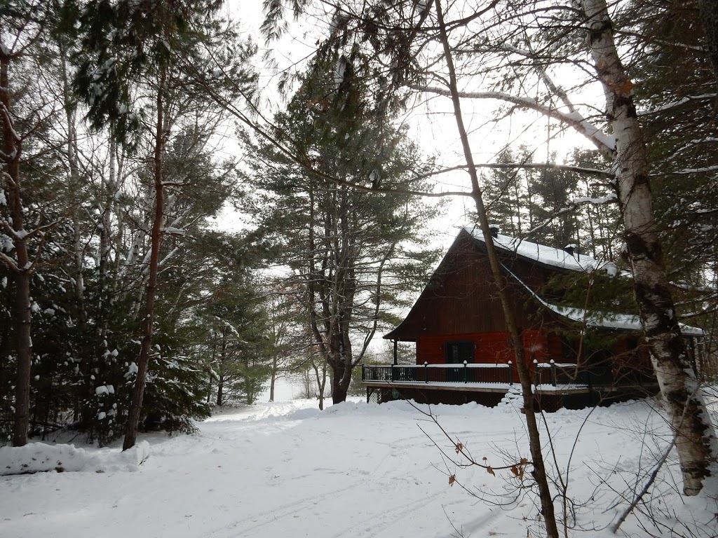 El Norte Lodge | 1018 N Shore Rd, Plevna, ON K0H 2M0, Canada | Phone: (647) 988-6901