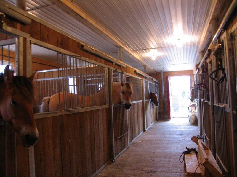 Conestogo River Horseback Adventures | 535 Northfield Dr E, Waterloo, ON N2J 4G8, Canada | Phone: (519) 888-6503