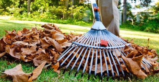 Howell Property Maintenance | 746 Midland Ave, Scarborough, ON M1K 4E2, Canada | Phone: (437) 779-2332